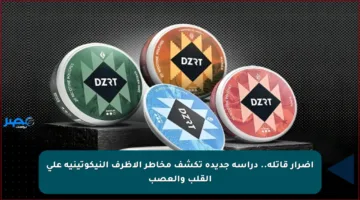 أضرار قاتلة.. دراسة جديدة تكشف مخاطر الأظرف النيكوتينية على القلب والعصب